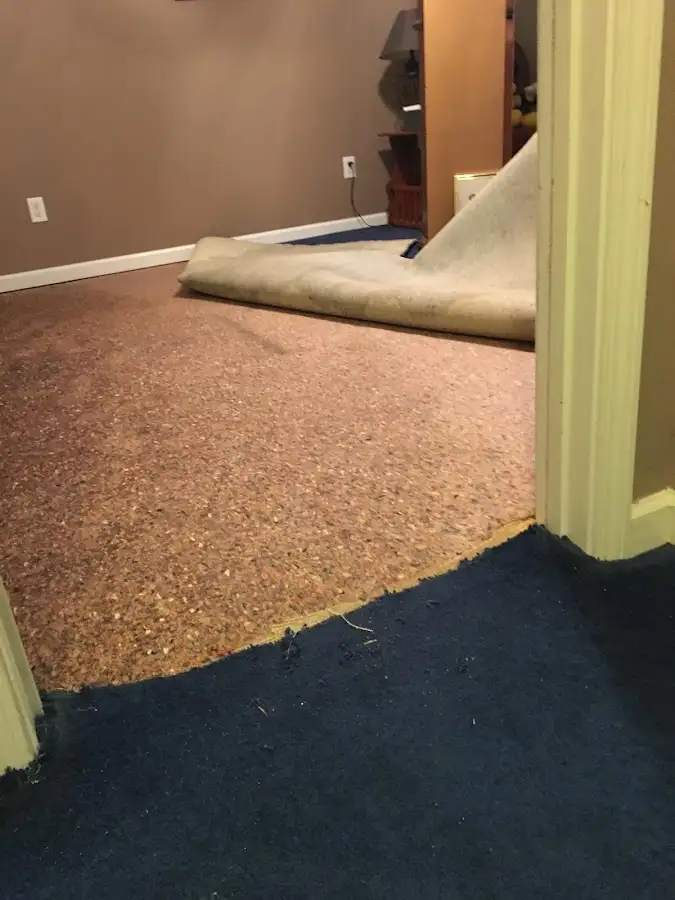 Carpet pad removal revealing water damage during Water Mitigation Services in Unity