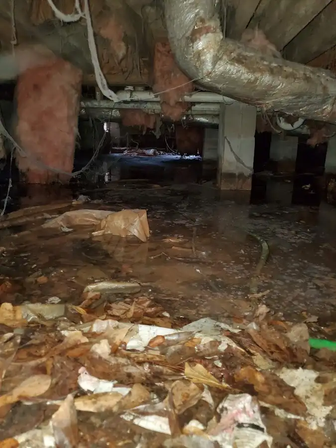 Crawl space flood assessment for Leak Detection & Repair in Unity